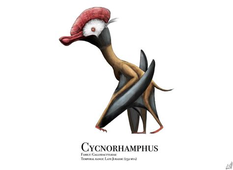 Cycnorhamphus By Prehistorybyliam On Deviantart