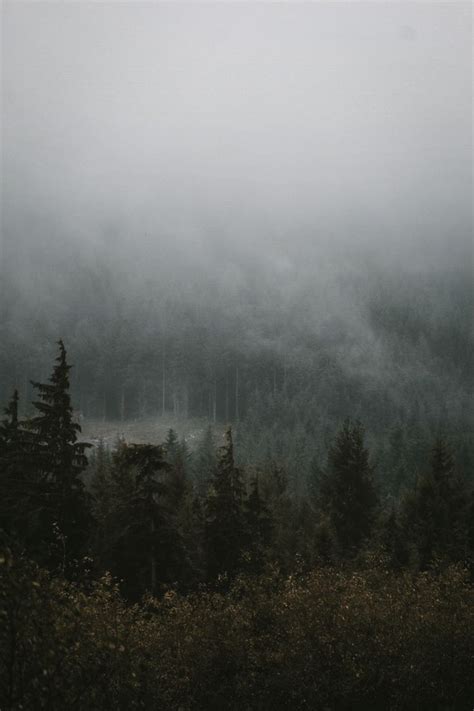 Forks Washington Forks Washington Twilight Forks Twilight Dark