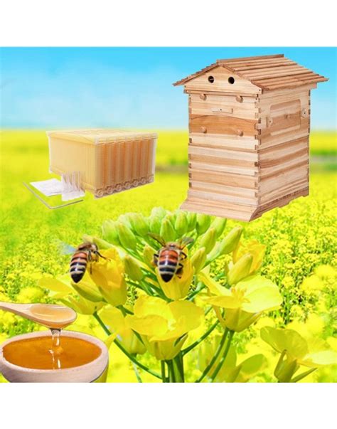 7pcs Beehive Complete Kitauto Beehive Frame Fir Wooden Beehive