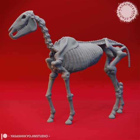 Skeleton Horse 32mm Scale For Dandd 5e And Pathfinder Crafted By Yasashii