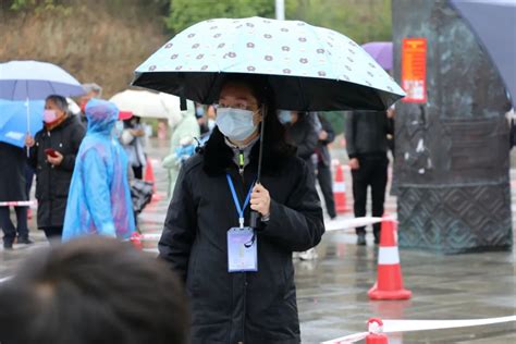 党徽闪耀 党旗飘扬 那坡法院党员风雨同舟勇战“疫澎湃号·政务澎湃新闻 The Paper