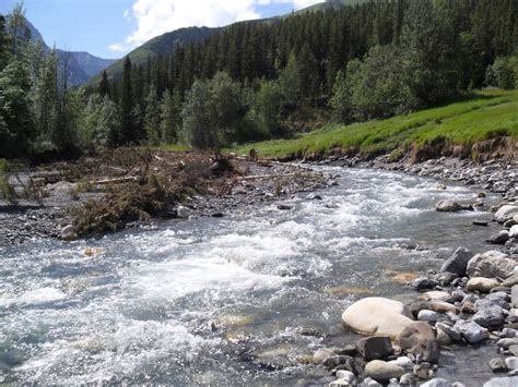 Ribbon Creek Trail Now Only A Memory Skierbob Ca