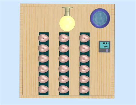Build A Kerosene Egg Incubator 3