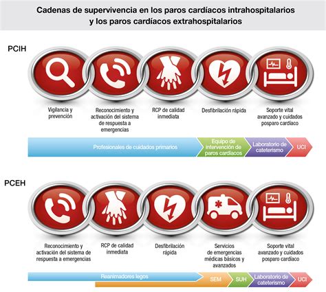 Mapa Mental De Primeros Auxilios Basicos Lukiso