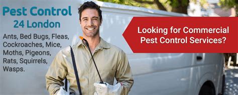 Commercial Pest Control Services In London Pest Control 24 London