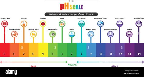 The pH scale Universal Indicator pH Color Chart diagram acidic alkaline values common substances ...