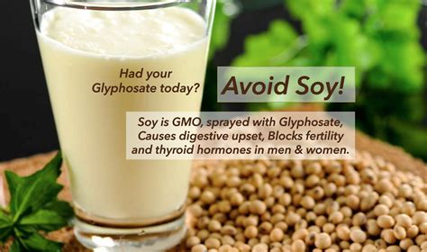 Avoid Soy: GMO, Toxic, Indigestible – Jane's Healthy Kitchen