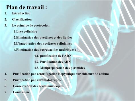 Extraction Et Purification Des Acides Nucl Iques Ppt T L Charger