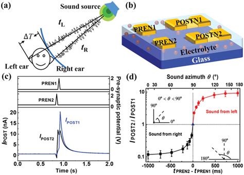 Sound Azimuth Detection Emulated In An Artificial Neural Network Based