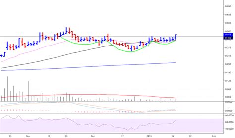 BGL Stock Price And Chart ASX BGL TradingView