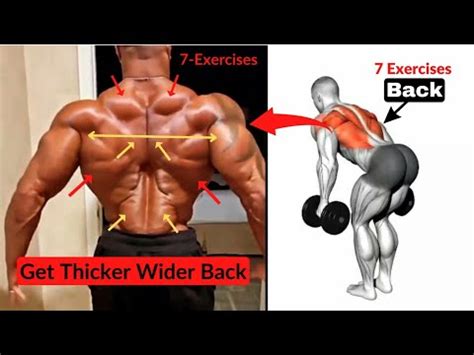 7 Perfect Back Exercises For Growth Get Thicker Back Fitness