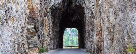 The Needles Eye Tunnel In Custer State Park Trips Tips And Tees