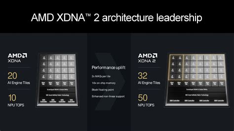 RDNA 3 5 XDNA 2 Engine And Thoughts AMD Deep Dives Zen 5