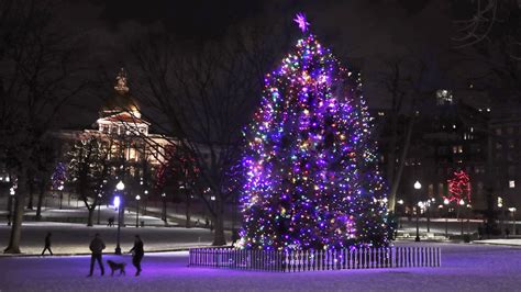 Why Boston gets a Christmas tree from Nova Scotia every year | WBUR News