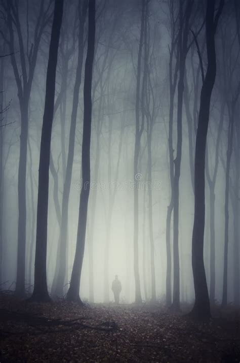 Shadow Ghost On Halloween In Dark Forest With Fog Stock Image Image