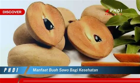 Temukan 7 Manfaat Buah Sawo Yang Wajib Kamu Ketahui