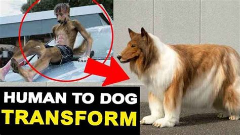 Japanese man spends more than $15,000+ to transform into a dog - Britain Herald