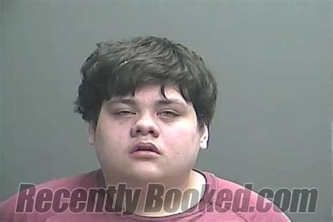 Recent Booking Mugshot For Jesus Mejia In Knox County Indiana