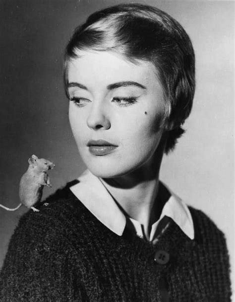 20 Fascinating Vintage Photos of Jean Seberg’s Iconic Short Haircut in the 1960s ~ Vintage Everyday