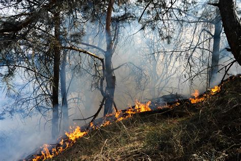 Incendi Boschivi Lombardia Firma Accordo Con Liguria E Piemonte