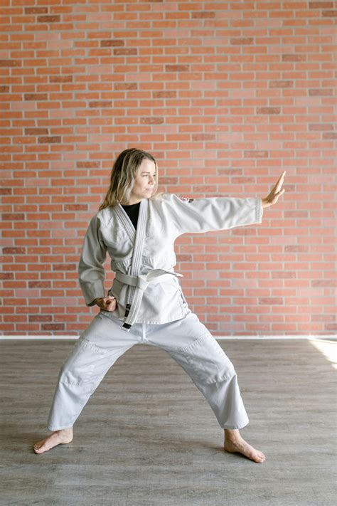 Dojo Photos, Download The BEST Free Dojo Stock Photos & HD Images