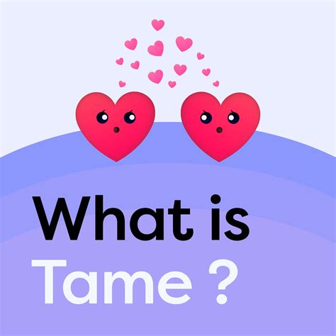 Tame (@Tame__app) / Twitter