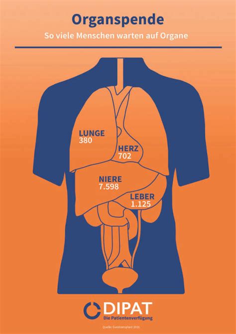 Organspendeausweis Da Gibt Es Besseres Dipat