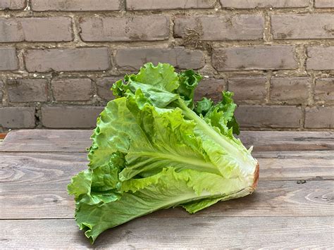 Green Leaf, Lettuce - Ea - Giordano Garden Groceries