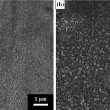 Sem Images Se Mode Of The Surface Of The Oxide Scale Formed On The