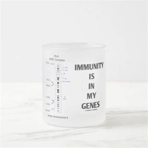 Immunity Is In My Genes Immunology Chromosome 6 Frosted Glass Coffee