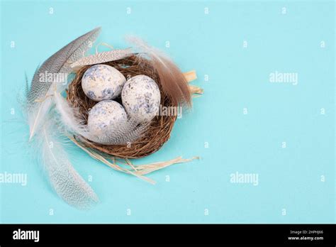 Easter Holiday Background Nest With Small Eggs Branches Of Pussy Willow Greeting Card Spring