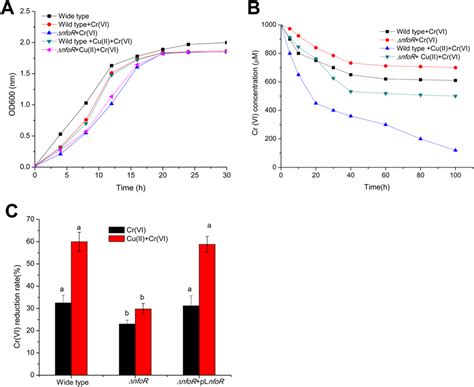 A Growth Curve Of Wild Type Wt S Aureus Lz And Nfor Mutant