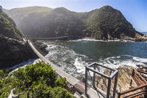 Tsitsikamma National Park Urwald Abenteuer Auf Der Garden Route