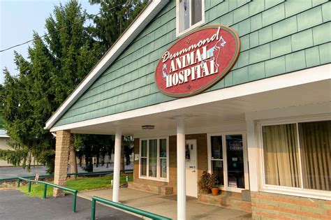Contact Us | Veterinarian in New Bethlehem, PA | Drummond Animal Hospital