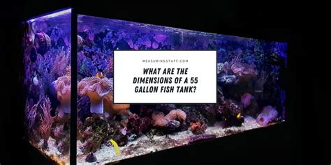 What Are The Dimensions Of A 55 Gallon Fish Tank Measuring Stuff