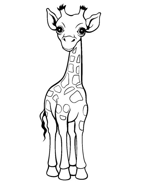 Giraffe Coloring Pages For Adults