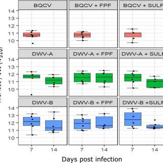 Bqcv Dwva And Dwvb Genome Equivalents Log Per Adult Honey Bee