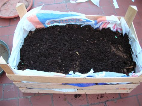 30 Minute Seedbed 4 Steps Instructables