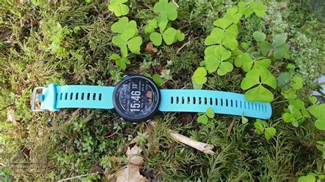GARMIN Forerunner 245 Music im Outdoortest | tested in nature ...