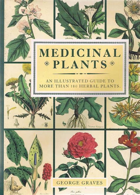 Medicinal Plants. An Illustrated Guide To More Than 180 Herbal Plants ...