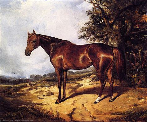 Museu De Reprodu Es De Arte Thoroughbred Por Arthur Fitzwilliam