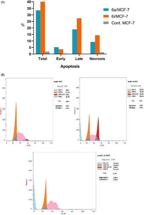 A Percentage Of Apoptosis And Necrosis For 6a And 6i Hybrids In MCF 7