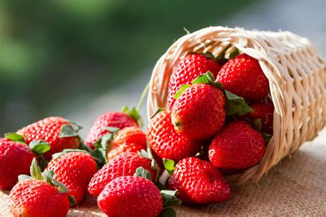 Manfaat Buah Strawberry Yang Baik Untuk Kesehatan