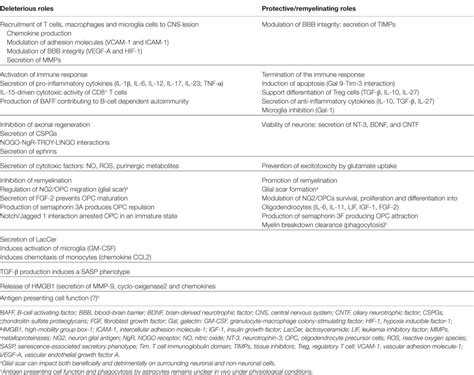 Frontiers The Role Of Astrocytes In Multiple Sclerosis Progression