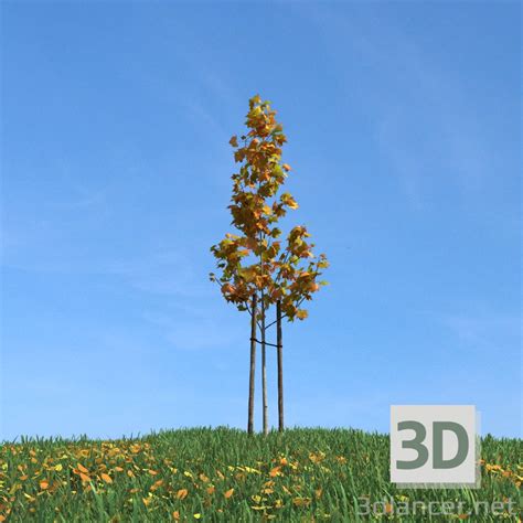 3d model Tree | 39313 | 3dlancer.net