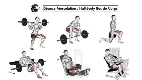 Les Meilleures Astuces Pour Progresser En Musculation Guide Complet