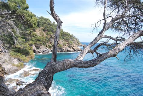 Free Images Sea Coast Tree Nature Lake View Bay Corniche