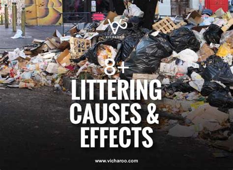 Why Do People Litter?- Causes And Effects Of Littering – Vicharoo