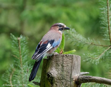 popular  images  fotocommunity