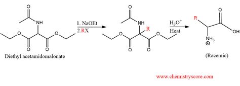 Amidomalonate Synthesis - Learn Chemistry Online | ChemistryScore